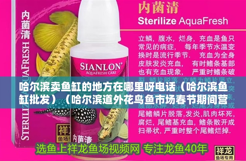 哈爾濱賣魚(yú)缸的地方在哪里呀電話（哈爾濱魚(yú)缸批發(fā)）（哈爾濱道外花鳥(niǎo)魚(yú)市場(chǎng)春節(jié)期間營(yíng)業(yè)時(shí)間為早上八點(diǎn)下班） 哈爾濱賣魚(yú)缸的地方在哪里呀電話（哈爾濱魚(yú)缸批發(fā)）（哈爾濱道外花鳥(niǎo)魚(yú)市場(chǎng)春節(jié)期間營(yíng)業(yè)時(shí)間為早上八點(diǎn)下班） 魚(yú)缸百科