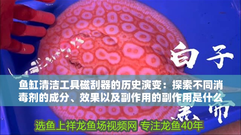 魚缸清潔工具磁刮器的歷史演變：探索不同消毒劑的成分、效果以及副作用的副作用是什么