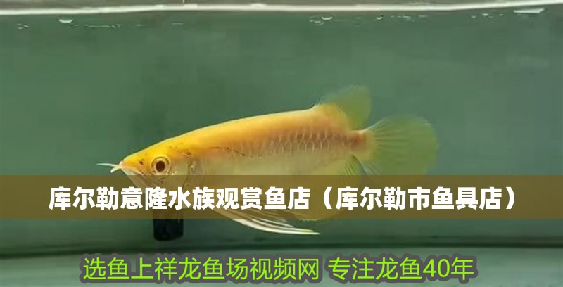 庫爾勒意隆水族觀賞魚店（庫爾勒市魚具店）