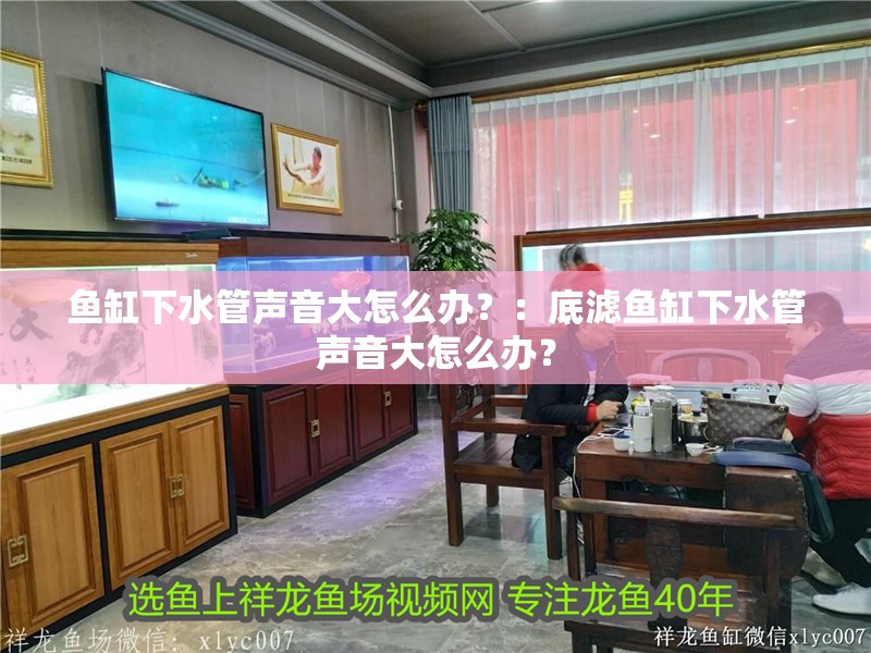魚缸下水管聲音大怎么辦？：底濾魚缸下水管聲音大怎么辦？