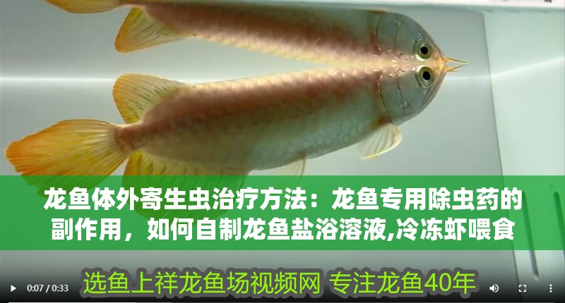 龍魚體外寄生蟲治療方法：龍魚專用除蟲藥的副作用，如何自制龍魚鹽浴溶液,冷凍蝦喂食