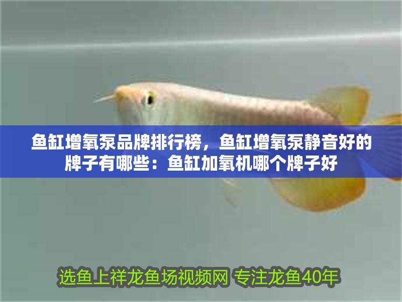 魚缸增氧泵品牌排行榜，魚缸增氧泵靜音好的牌子有哪些：魚缸加氧機哪個牌子好 魚缸增氧泵品牌排行榜，魚缸增氧泵靜音好的牌子有哪些：魚缸加氧機哪個牌子好 魚缸百科