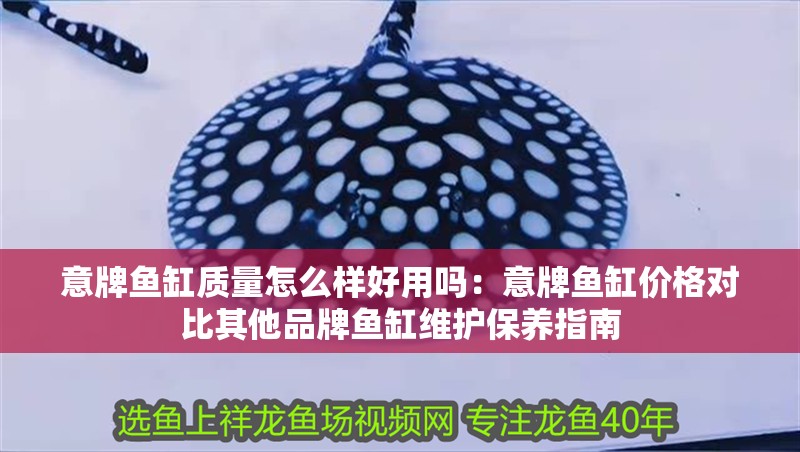 意牌魚缸質量怎么樣好用嗎：意牌魚缸價格對比其他品牌魚缸維護保養指南