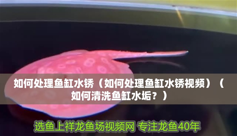 如何處理魚(yú)缸水銹（如何處理魚(yú)缸水銹視頻）（如何清洗魚(yú)缸水垢？）