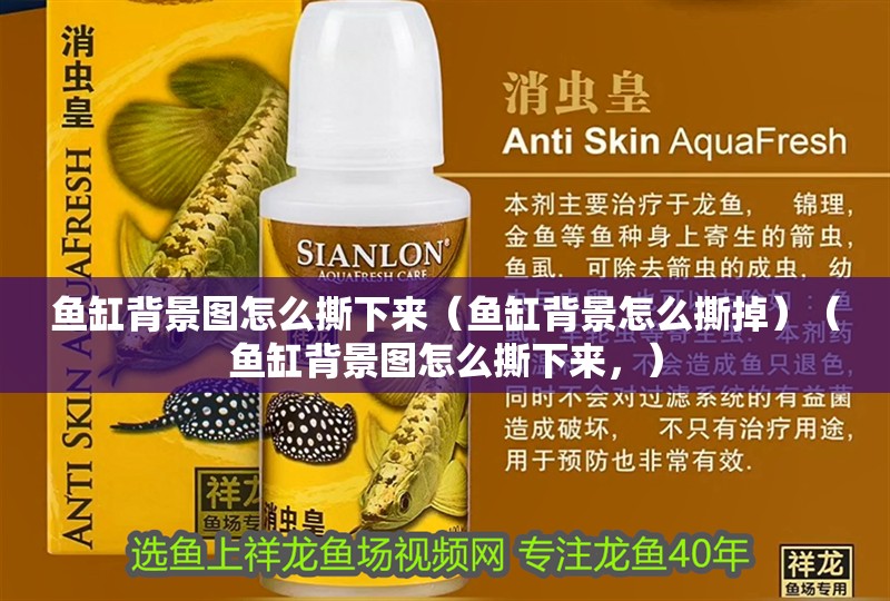 魚缸背景圖怎么撕下來（魚缸背景怎么撕掉）（魚缸背景圖怎么撕下來，）