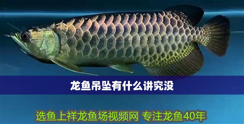 龍魚吊墜有什么講究沒