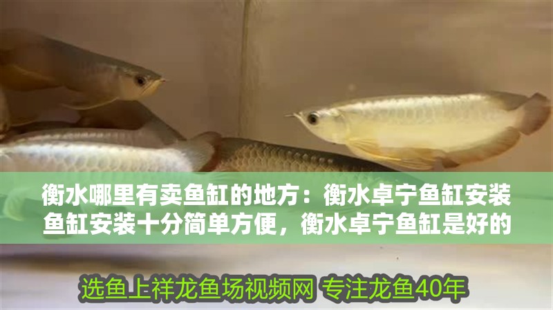 <strong><mark>衡水</mark></strong>哪里有賣魚缸的地方：<strong><mark>衡水</mark></strong>卓寧魚缸安裝魚缸安裝十分簡單方便，<strong><mark>衡水</mark></strong>卓寧魚缸是好的