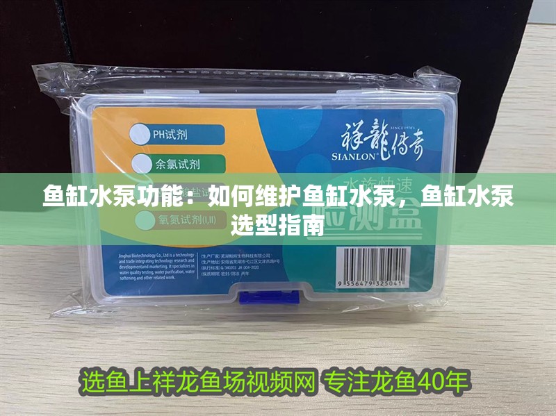 魚缸水泵功能：如何維護魚缸水泵，魚缸水泵選型指南