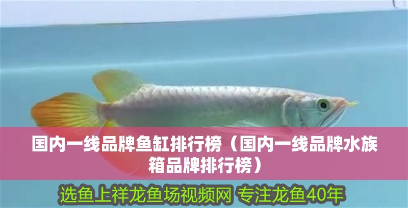 國內一線品牌魚缸排行榜（國內一線品牌水族箱品牌排行榜） 國內一線品牌魚缸排行榜（國內一線品牌水族箱品牌排行榜） 魚缸百科