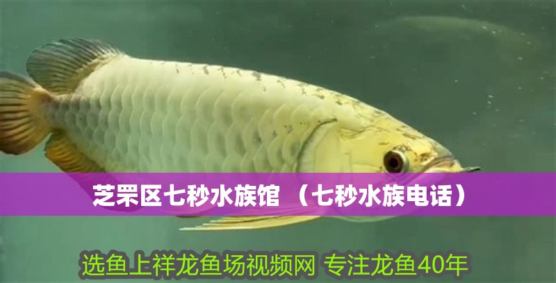 魚缸過濾器選購指南:自制魚缸過濾器魚缸上置過濾器對于養魚愛好者的必備知識 芝罘區七秒水族館 (七秒水族電話) 全國水族館企業名錄 芝罘區七秒水族館 (七秒水族電話) 芝罘區七秒水族館 (七秒水族電話) 全國水族館企業名錄