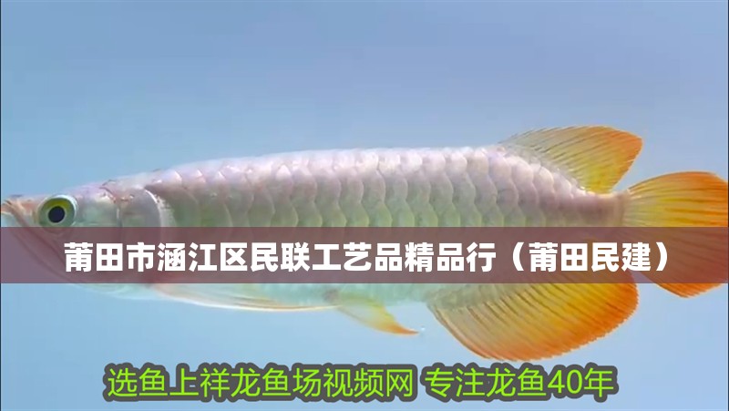 魚缸過濾器選購指南:自制魚缸過濾器魚缸上置過濾器對于養(yǎng)魚愛好者的必備知識 莆田市涵江區(qū)民聯(lián)工藝品精品行(莆田民建) 全國水族館企業(yè)名錄 莆田市涵江區(qū)民聯(lián)工藝品精品行(莆田民建) 莆田市涵江區(qū)民聯(lián)工藝品精品行(莆田民建) 全國水族館企業(yè)名錄