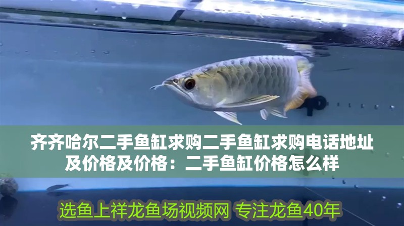 齊齊哈爾二手魚缸求購二手魚缸求購電話地址及價格及價格：二手魚缸價格怎么樣