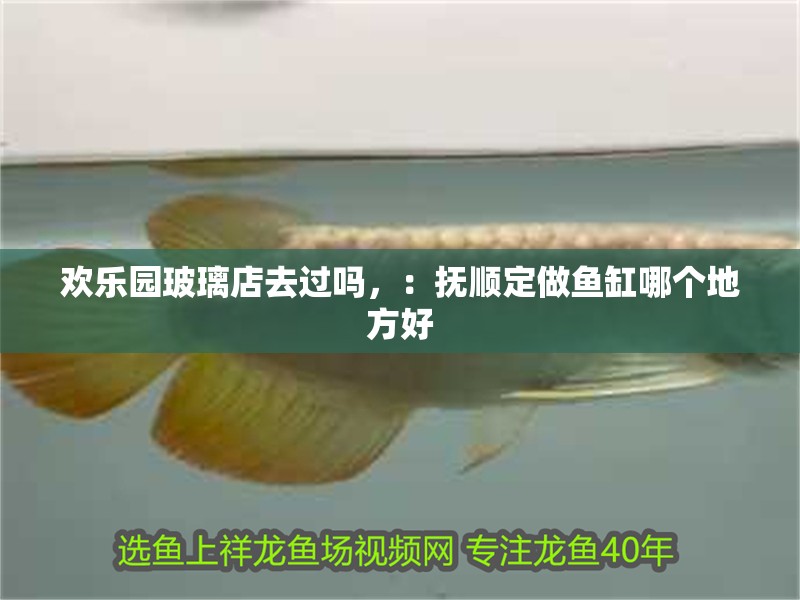 歡樂園玻璃店去過嗎，：撫順定做魚缸哪個地方好 歡樂園玻璃店去過嗎，：撫順定做魚缸哪個地方好 魚缸百科