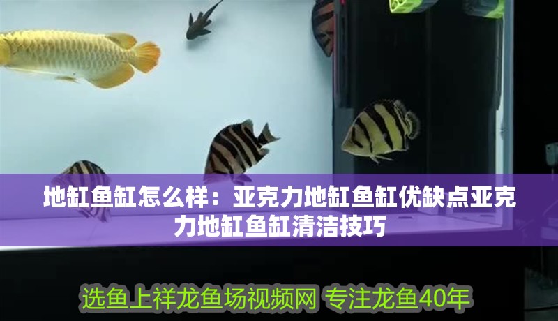 地缸魚(yú)缸怎么樣：亞克力地缸魚(yú)缸優(yōu)缺點(diǎn)亞克力地缸魚(yú)缸清潔技巧