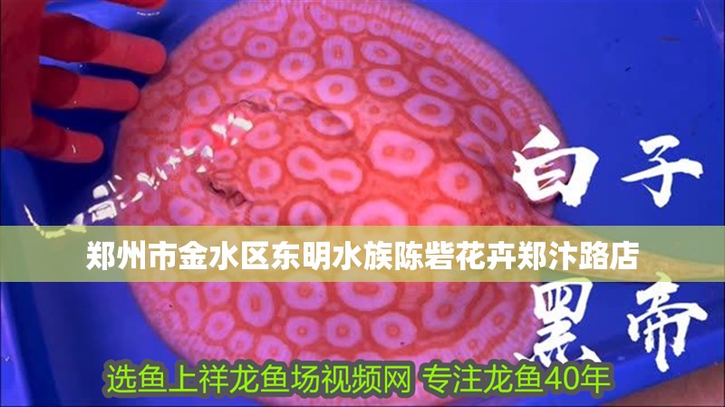 鄭州市金水區(qū)東明水族陳砦花卉鄭汴路店 鄭州市金水區(qū)東明水族陳砦花卉鄭汴路店 全國水族館企業(yè)名錄