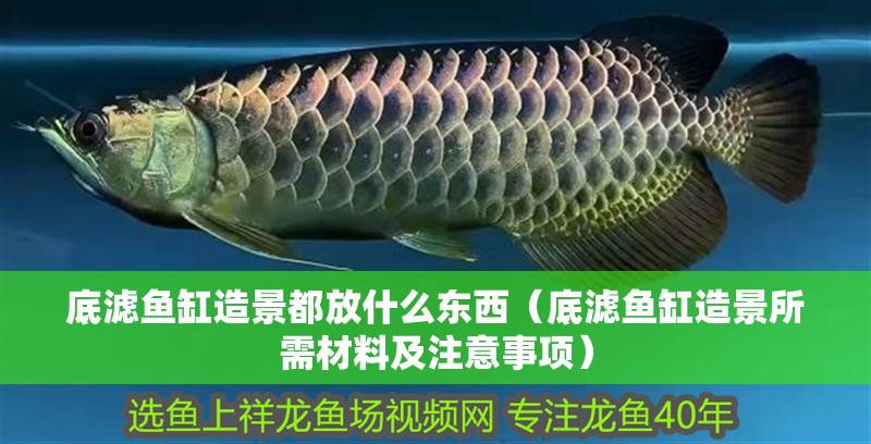 底濾魚缸造景都放什么東西（底濾魚缸造景所需材料及注意事項(xiàng)）