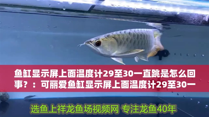 魚缸顯示屏上面溫度計29至30一直跳是怎么回事？：可麗愛魚缸顯示屏上面溫度計29至30一直跳是怎么回事？