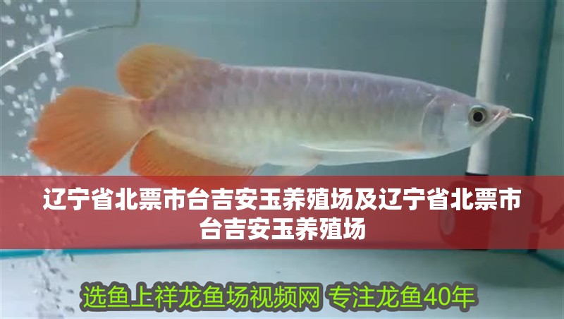 遼寧省北票市臺吉安玉養(yǎng)殖場及遼寧省北票市臺吉安玉養(yǎng)殖場