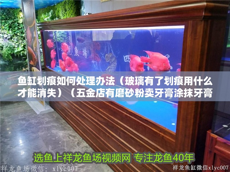 魚缸劃痕如何處理辦法（玻璃有了劃痕用什么才能消失）（五金店有磨砂粉賣牙膏涂抹牙膏劃痕處理辦法，五金店有磨砂粉賣） 魚缸劃痕如何處理辦法（玻璃有了劃痕用什么才能消失）（五金店有磨砂粉賣牙膏涂抹牙膏劃痕處理辦法，五金店有磨砂粉賣） 魚缸百科