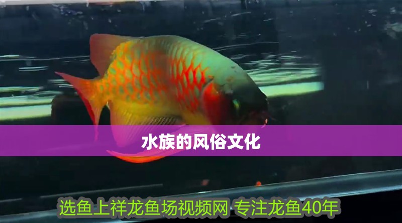 水族的風俗文化