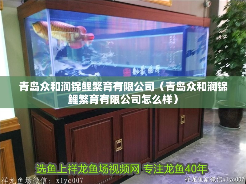 青島眾和潤錦鯉繁育有限公司（青島眾和潤錦鯉繁育有限公司怎么樣）
