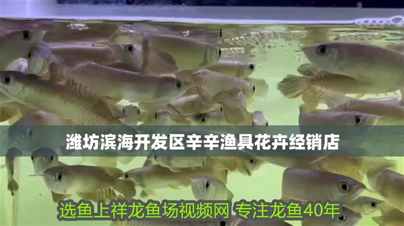 濰坊濱海開發(fā)區(qū)辛辛漁具花卉經(jīng)銷店