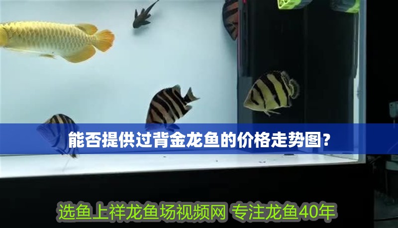 能否提供過背金龍魚的價格走勢圖？ 能否提供過背金龍魚的價格走勢圖？ 龍魚論壇