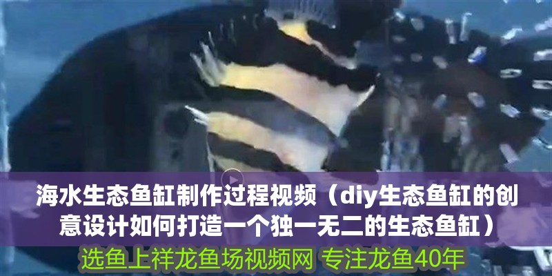 海水生態(tài)魚缸制作過程視頻（diy生態(tài)魚缸的創(chuàng)意設(shè)計如何打造一個獨一無二的生態(tài)魚缸） 海水生態(tài)魚缸制作過程視頻（diy生態(tài)魚缸的創(chuàng)意設(shè)計如何打造一個獨一無二的生態(tài)魚缸） 魚缸百科