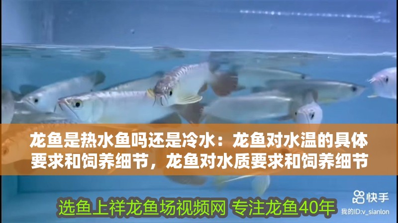 龍魚是熱水魚嗎還是冷水：龍魚對水溫的具體要求和飼養(yǎng)細節(jié)，龍魚對水質(zhì)要求和飼養(yǎng)細節(jié)