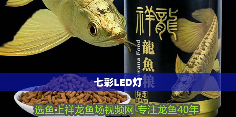 七彩LED燈