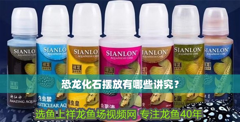恐龍化石擺放有哪些講究？ 恐龍化石擺放有哪些講究？ 龍魚論壇
