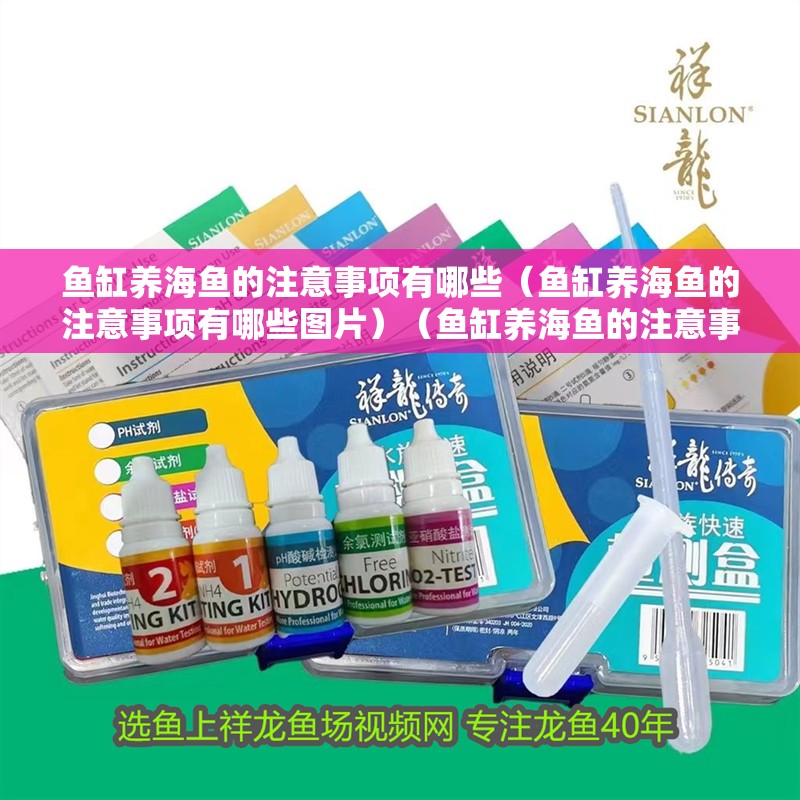 魚缸養海魚的注意事項有哪些（魚缸養海魚的注意事項有哪些圖片）（魚缸養海魚的注意事項）
