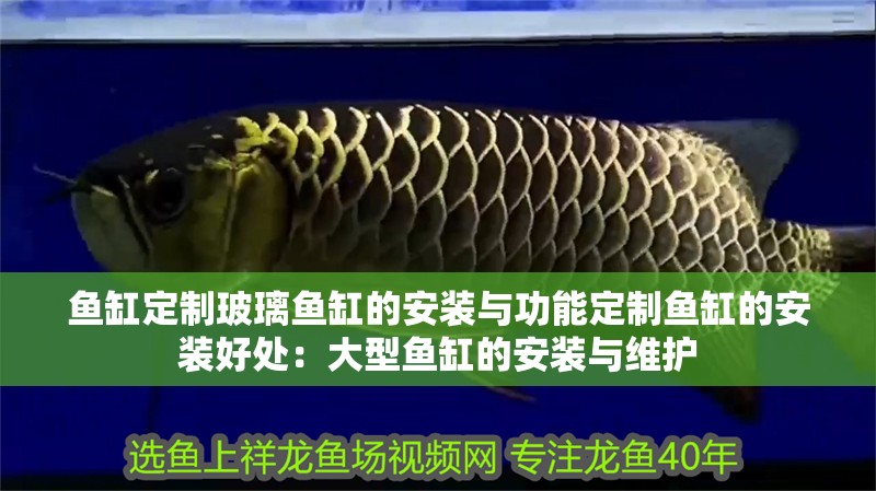 魚缸定制玻璃魚缸的安裝與功能定制魚缸的安裝好處：大型魚缸的安裝與維護