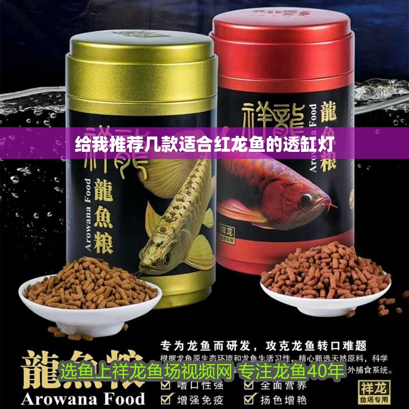 給我推薦幾款適合紅龍魚的透缸燈