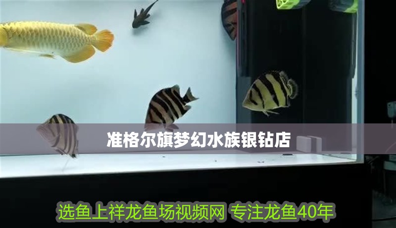 準格爾旗夢幻水族銀鉆店 準格爾旗夢幻水族銀鉆店 全國水族館企業名錄