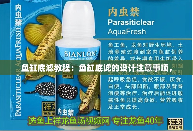 魚缸底濾教程：魚缸底濾的設計注意事項，