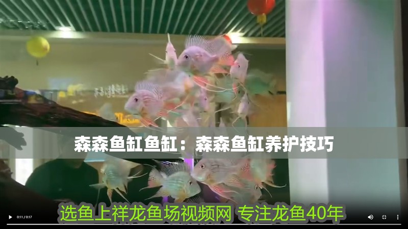 森森魚缸魚缸：森森魚缸養護技巧