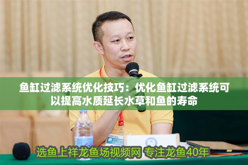 魚缸過濾系統優化技巧：優化魚缸過濾系統可以提高水質延長水草和魚的壽命