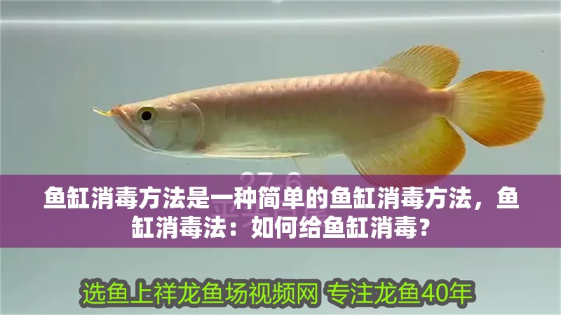 魚缸消毒方法是一種簡單的魚缸消毒方法，魚缸消毒法：如何給魚缸消毒？