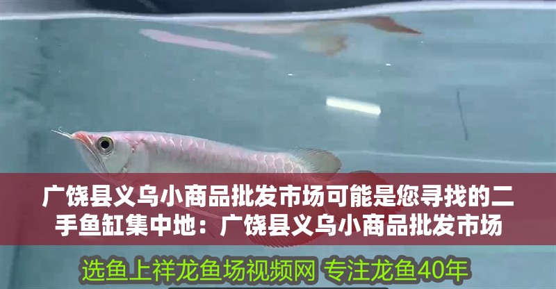 廣饒縣義烏小商品批發市場可能是您尋找的二手魚缸集中地：廣饒縣義烏小商品批發市場 廣饒縣義烏小商品批發市場可能是您尋找的二手魚缸集中地：廣饒縣義烏小商品批發市場 魚缸百科
