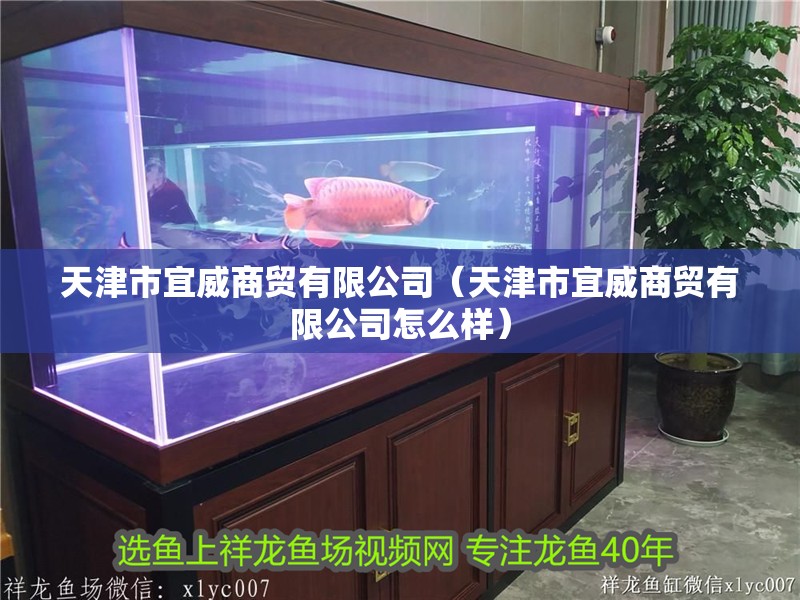 天津市宜威商貿有限公司（天津市宜威商貿有限公司怎么樣）