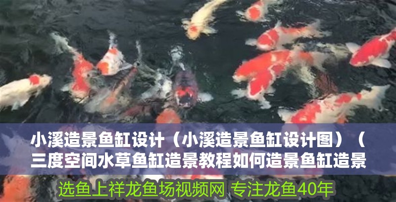 小溪造景魚(yú)缸設(shè)計(jì)（小溪造景魚(yú)缸設(shè)計(jì)圖）（三度空間水草魚(yú)缸造景教程如何造景魚(yú)缸造景）