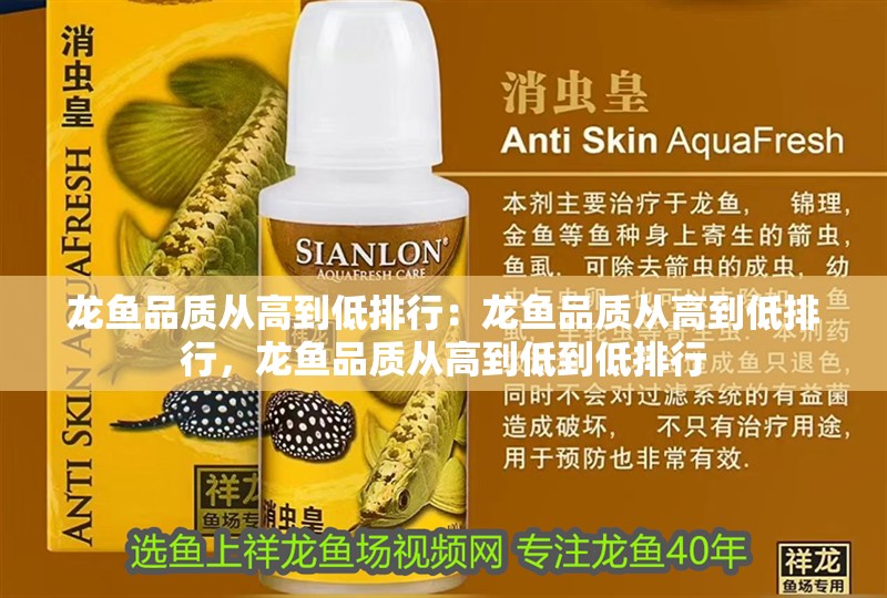 龍魚品質從高到低排行：龍魚品質從高到低排行，龍魚品質從高到低到低排行