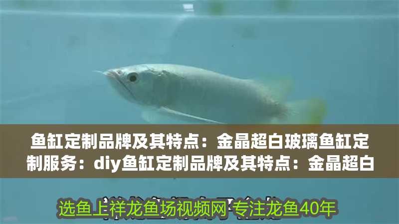 魚缸定制品牌及其特點：金晶超白玻璃魚缸定制服務：diy魚缸定制品牌及其特點：金晶超白玻璃魚缸定制服務