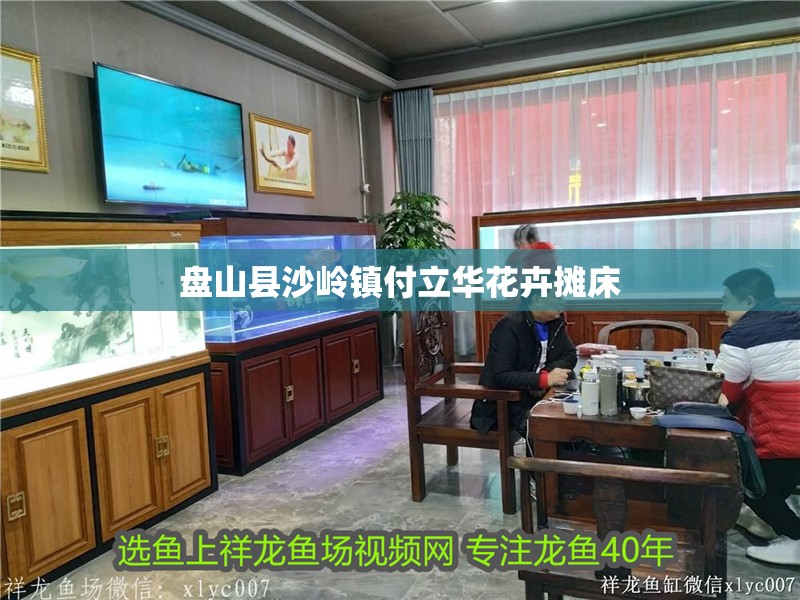 盤山縣沙嶺鎮付立華花卉攤床