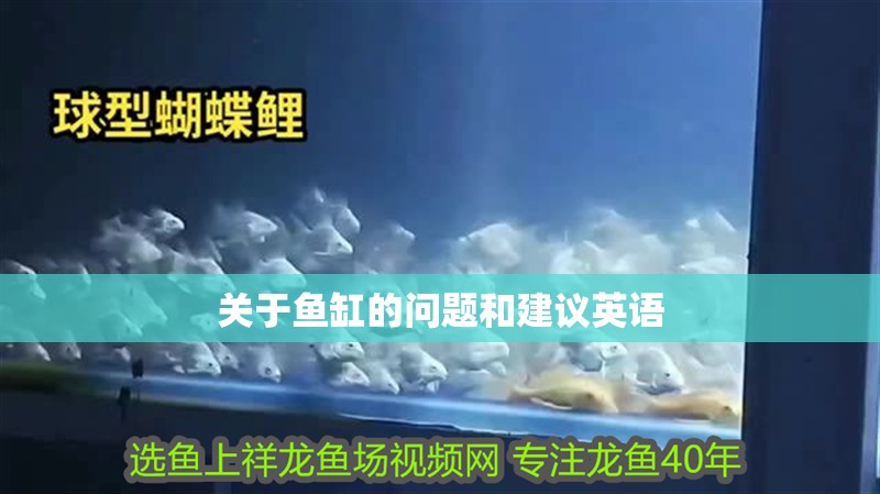 關于魚缸的問題和建議英語 關于魚缸的問題和建議英語 魚缸百科