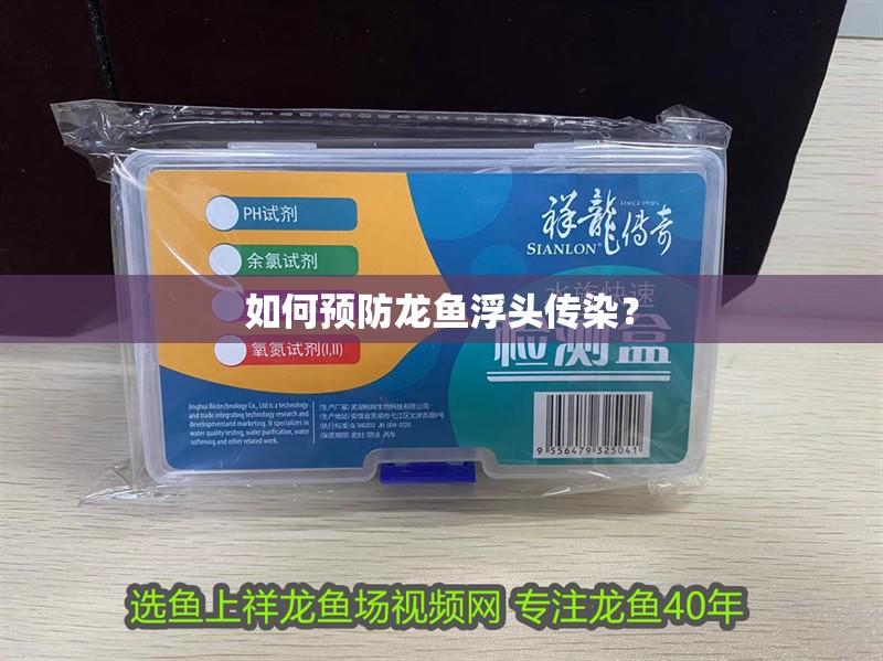 如何預防龍魚浮頭傳染？