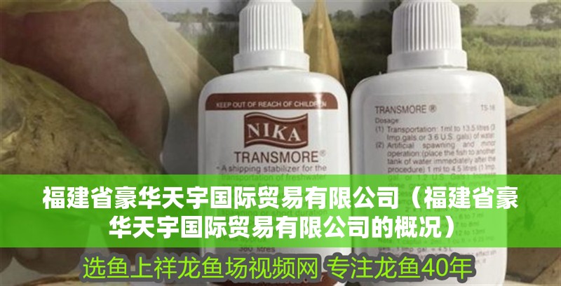 福建省豪華天宇國際貿易有限公司（福建省豪華天宇國際貿易有限公司的概況）