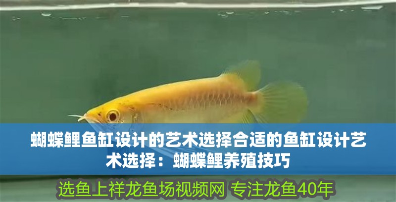 蝴蝶鯉魚缸設(shè)計(jì)的藝術(shù)選擇合適的魚缸設(shè)計(jì)藝術(shù)選擇：蝴蝶鯉養(yǎng)殖技巧