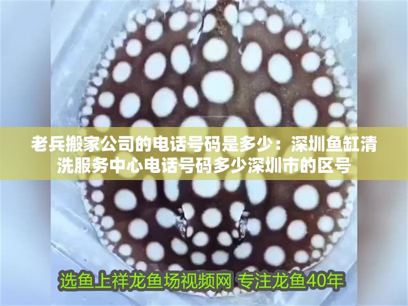 老兵搬家公司的電話號碼是多少：<strong><mark>深圳</mark></strong>魚缸清洗服務(wù)中心電話號碼多少<strong><mark>深圳</mark></strong>市的區(qū)號